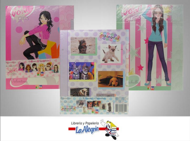 SEPARADOR DE 6 MATERIA VARIO/MODELO CART MARCA PAPEL ETC   