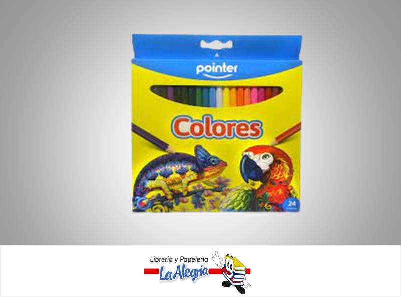 LAPICES DE COLORES RCP-24; 24 COLORES MARCA POINTER
