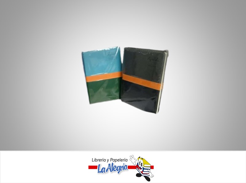 AGENDA PERMANENTE AG2120 AP 21X14CM 2 COL MARCA POINTER