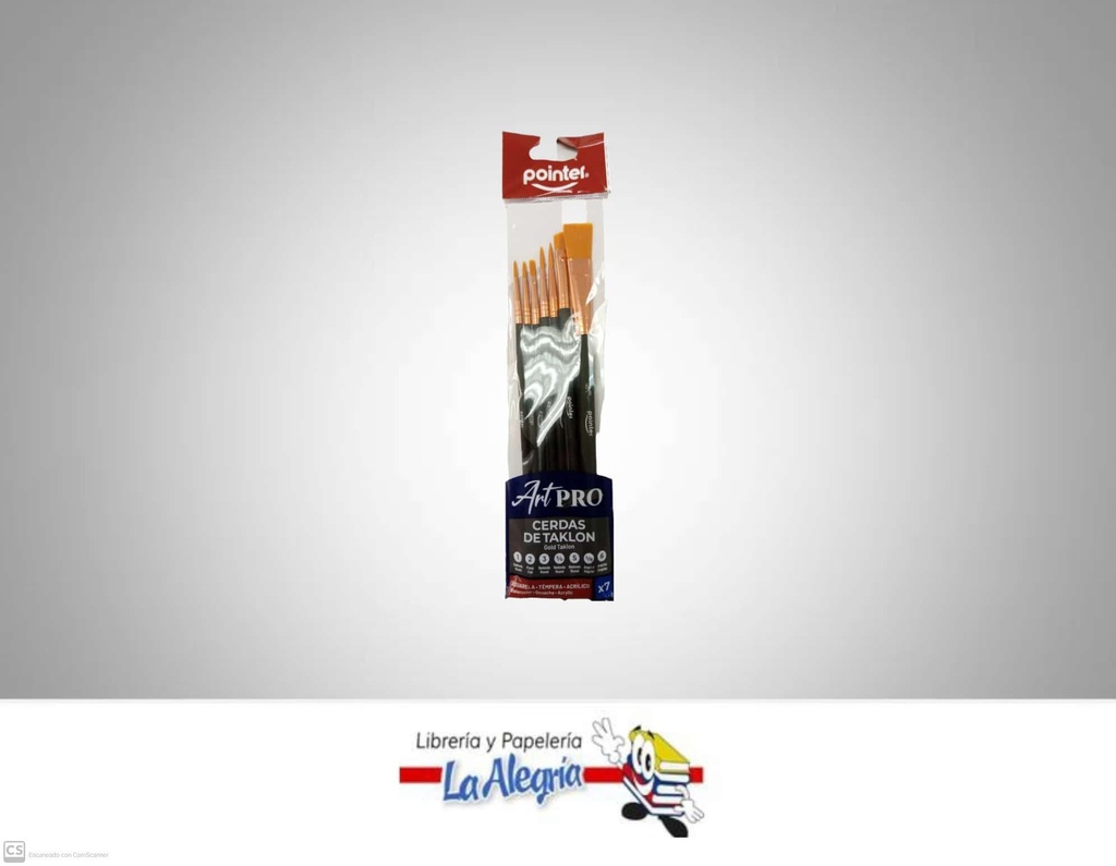 PINCEL MAGO CORTO SET 7 PZA AB-2-7 MARCA POINTER