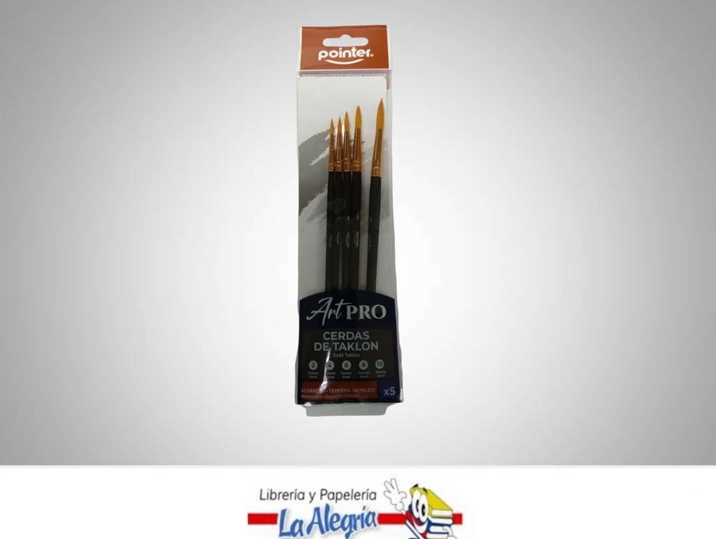 PINCEL MANGO CORTO BK023 SET 5 PZA.  MARCA POINTER