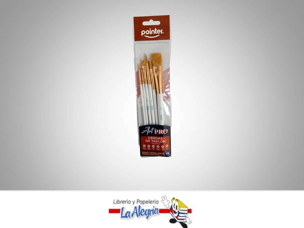 PINCEL MANGO CORTO BK021 SET 6 PZA. MARCA POINTER