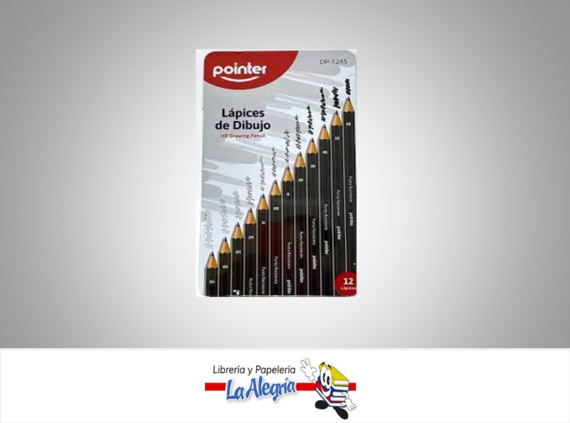 LAPIZ DE DIBUJO H-5H/HB/B-6B ESTUCHE MET MARCA POINTER   