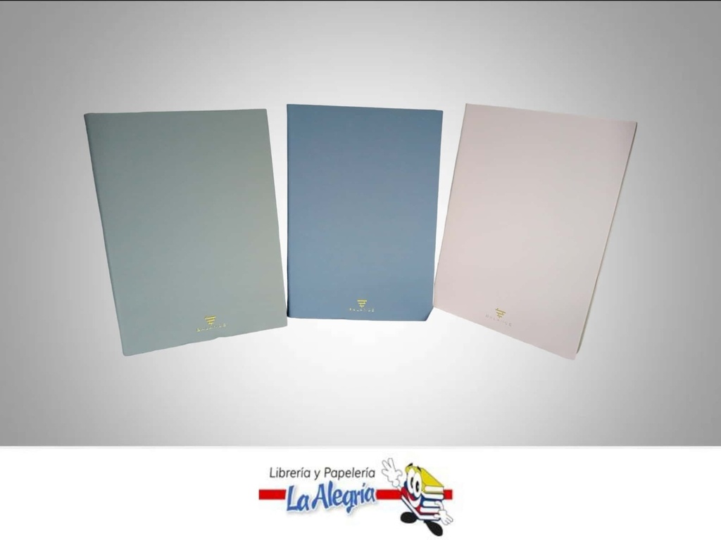 LIBRETA NOTAS EMPASTADA RAYAS PARA APUNTES NB2259  MARCA POINTER