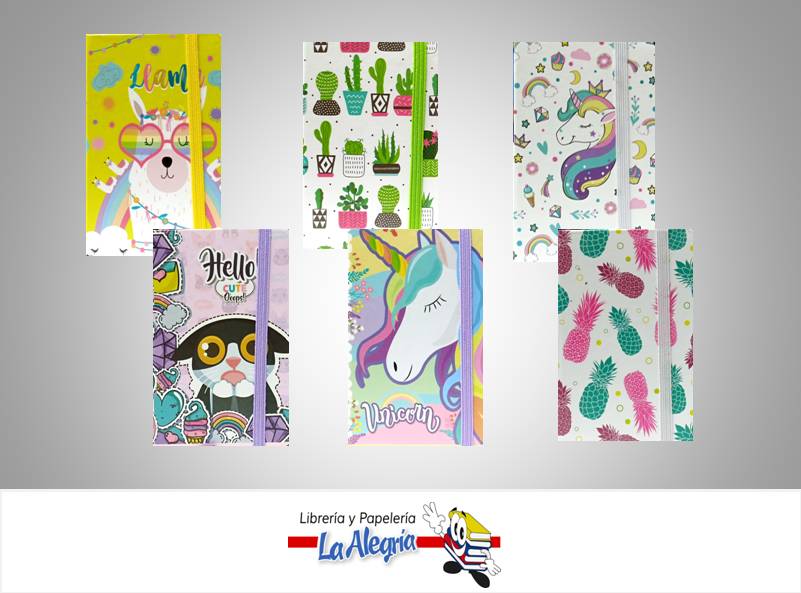 LIBRETA NOTA EMPASTADA NB1705A72; 7.3X10.5CM MARCA POINTER