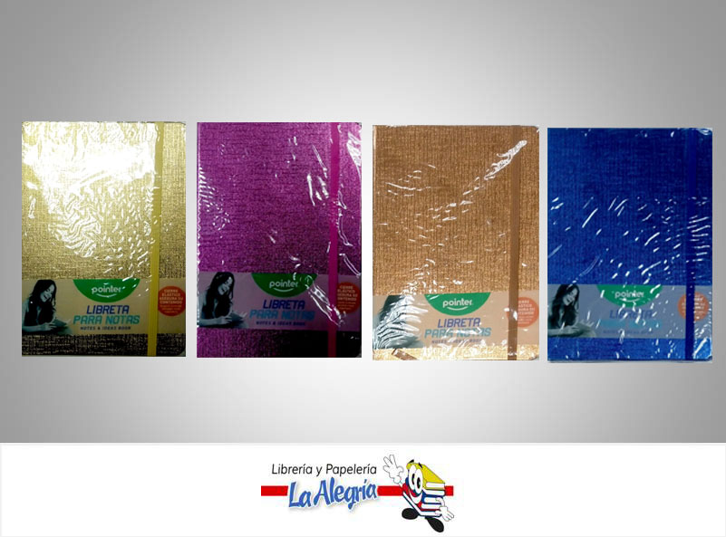 LIBRETA NOTA EMPASTADO 14X21CM METALIZADO MARCA POINTER
