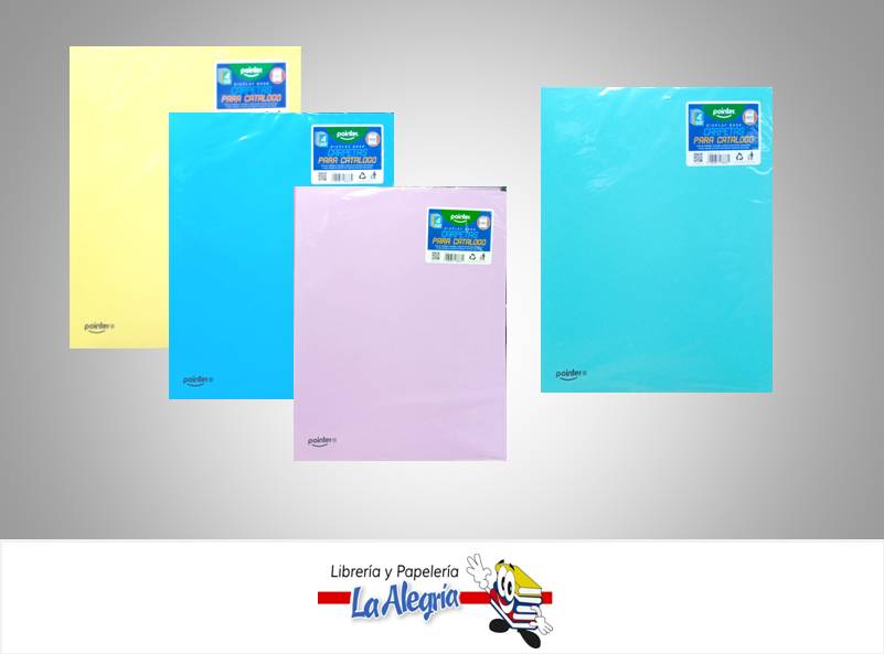 CARPETA CATALOGO CARTA 30 HOJAS PASTELES MARCA POINTER   