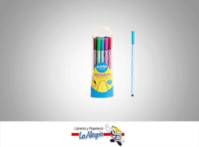 MARCADOR CON CARTUCHERA PLASTICA WC90012; 12 COLORES MARCA POINTER