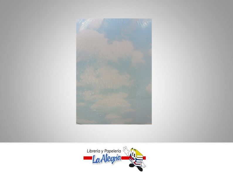 CARTULINA CIELO CARTA MARCA S/M