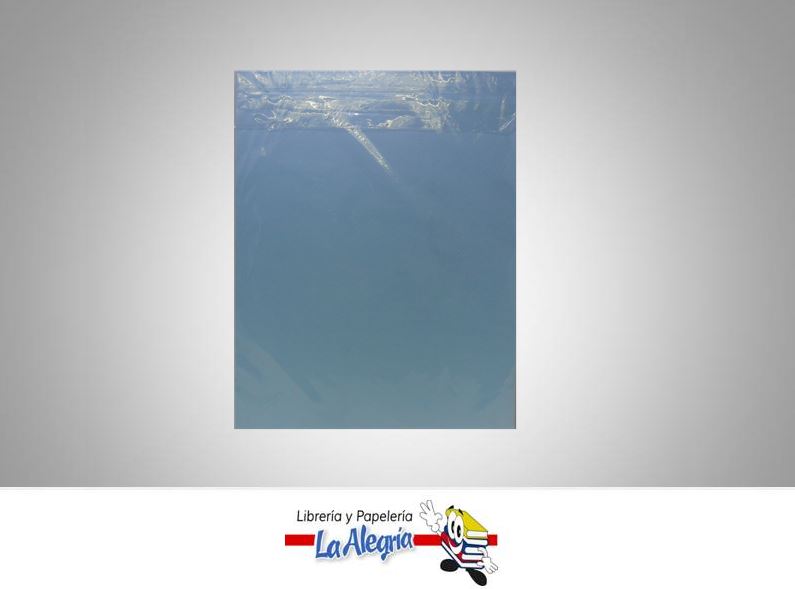 CARTULINA BRISTOL CARTA AZUL MARCA S/M