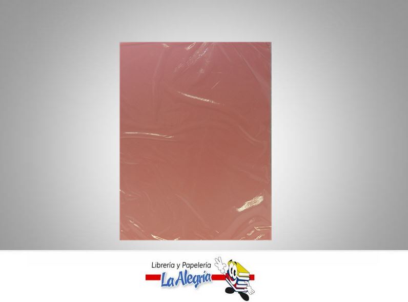 CARTULINA BRISTOL CARTA PAQ ROJO PASTEL MARCA COINGRA