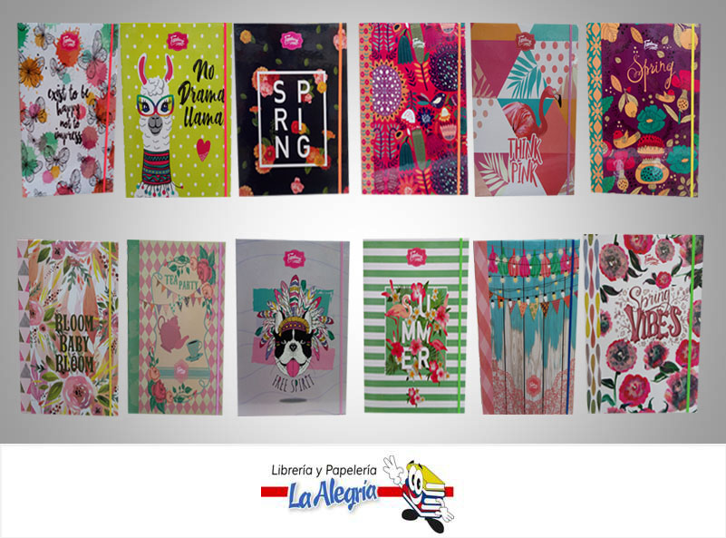 CARPETA 3 AROS 1" CARTA FANTASY UNIVERSITY MARCA FANTASY   