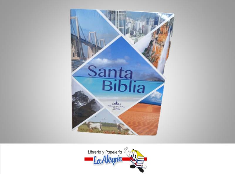 BIBLIA GRANDE VENEZUELA REINA VALERA TEMATICA RELIGION AUTOR TORRES A. FELIX MARCA EDITORIAL PLUTON