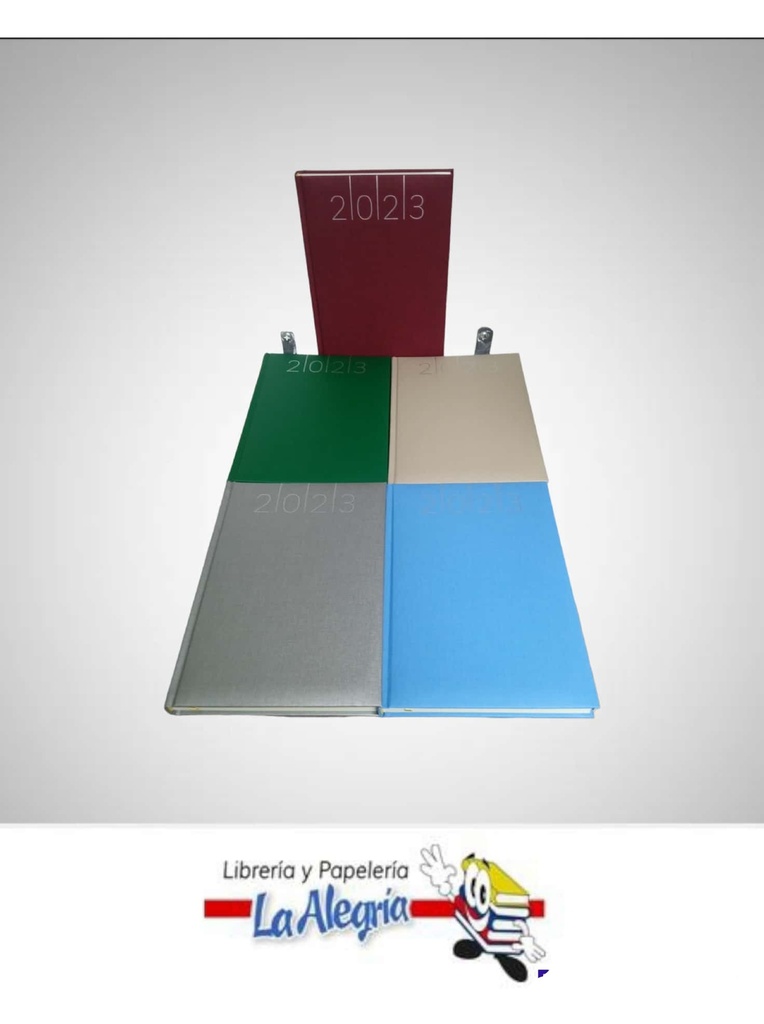AGENDA 2023 DIARIA FURORE COLORES VARIAD MARCA ARTESCO   