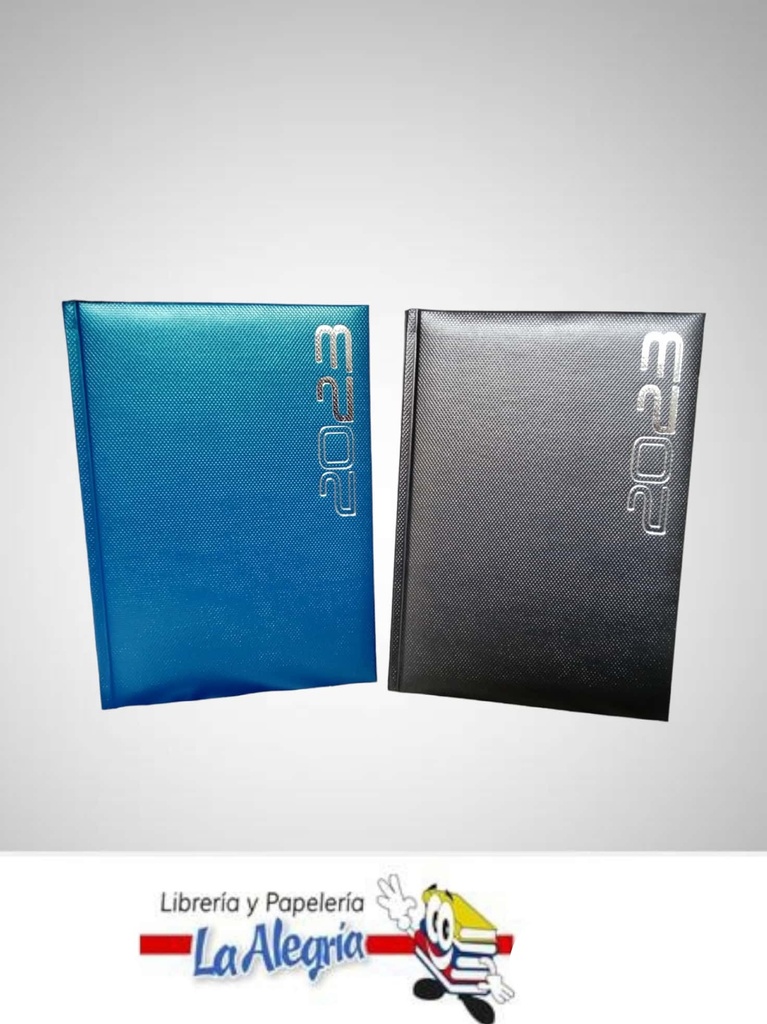 AGENDA 2023 DIARIA MORESCO COLORES VARIA MARCA ARTESCO   