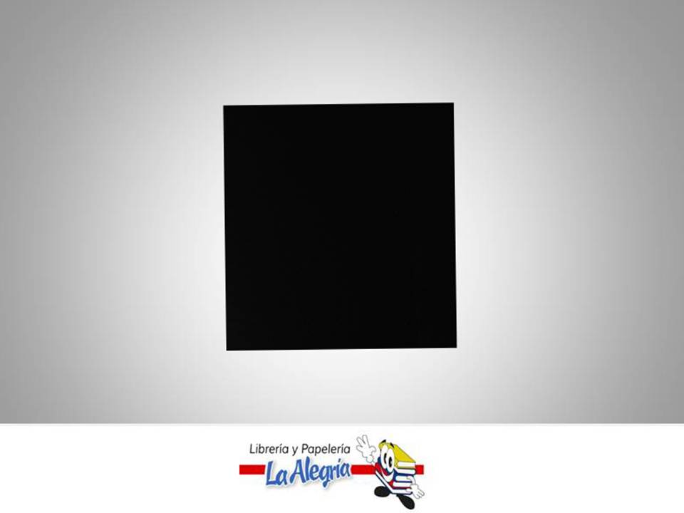 CARTULINA BRISTOL 66X48 UND NEGRA 120GR MARCA S/M   