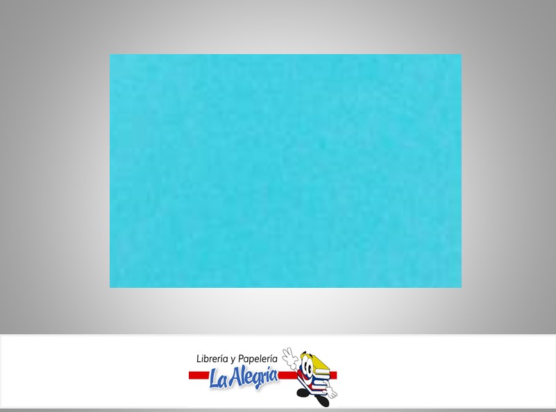 CARTULINA BRISTOL 66X48 CM AZUL CLARO UND 120GR MARCA S/M   