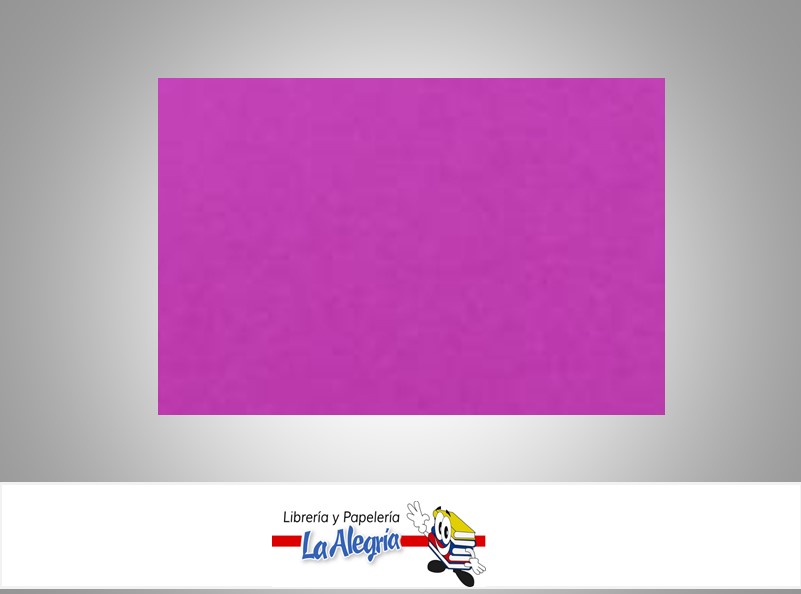 CARTULINA BRISTOL 66X48 CM FUCSIA UND 120GR MARCA S/M   