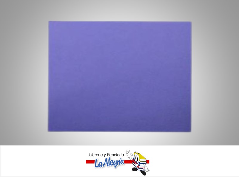 CARTULINA BRISTOL 66X48 CM MORADO UND 120GR MARCA S/M   