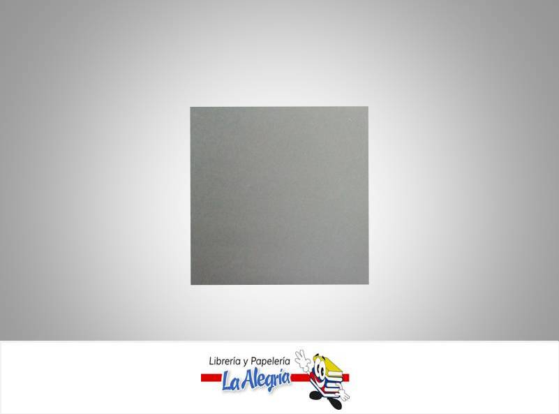 CARTULINA BRISTOL 66X48 CM GRIS UND 120GR MARCA S/M   