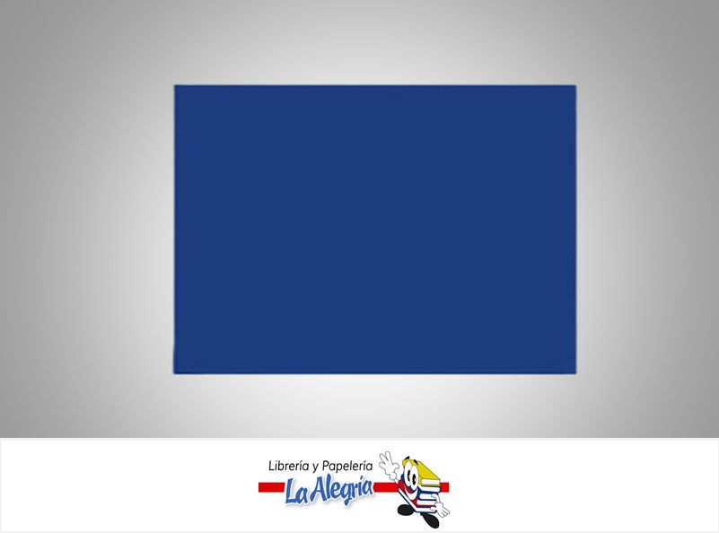 CARTULINA BRISTOL 66X48 CM AZUL UND 120GR MARCA S/M   