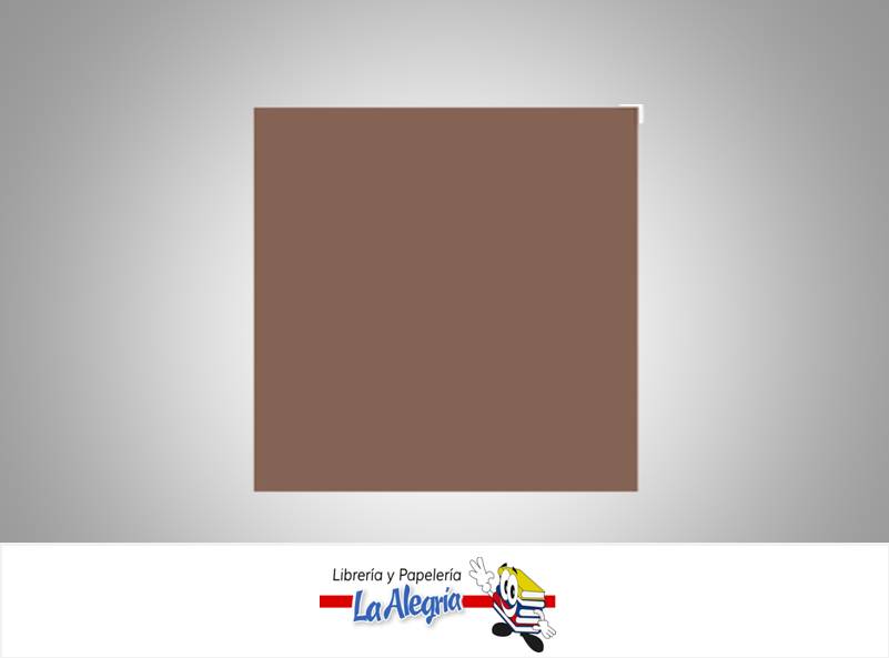 CARTULINA BRISTOL 66X48 CM MARRON UND 120GR MARCA S/M   