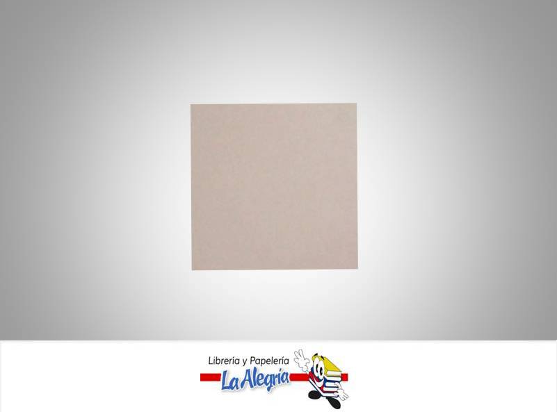 CARTULINA BRISTOL 66X48 CM MARRON CLARO UND 120GR MARCA S/M