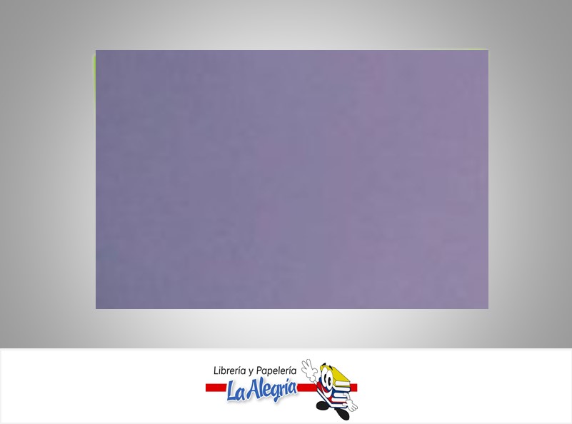 CARTULINA BRISTOL 66X48 CM LILA UND 120GR MARCA S/M   