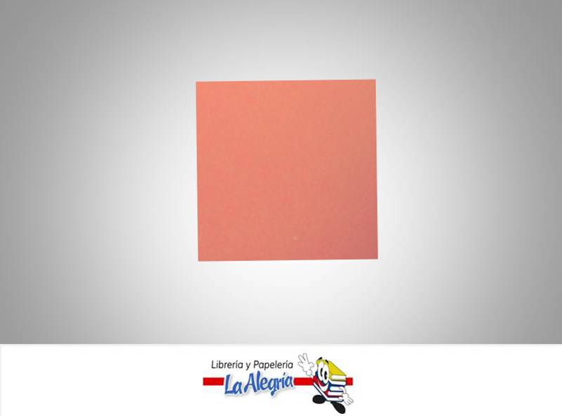 CARTULINA BRISTOL 66X48 CM SALMON UND 120GR MARCA S/M   