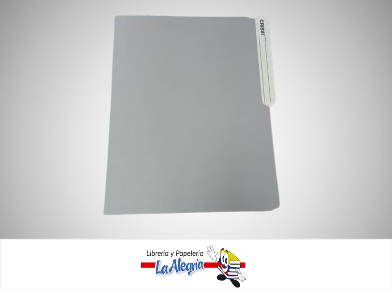 CARPETA MANILA CARTA GRIS UND S/M