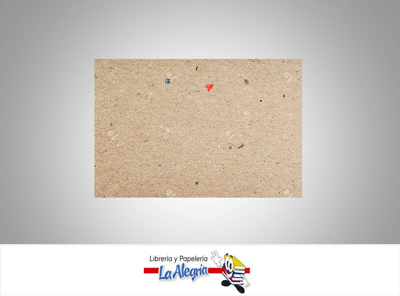 CARTON 170 GR 70X100 CM UND MARCA S/M   