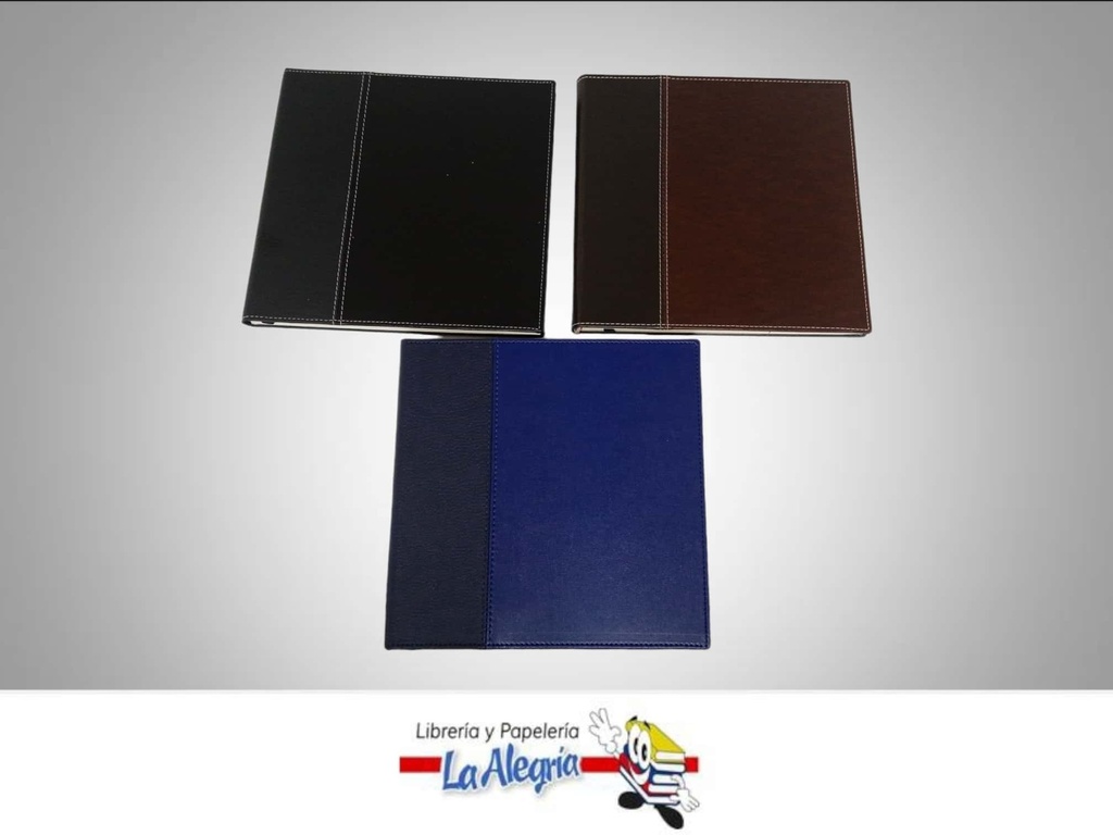 AGENDA DIRECTOR PERMANENTE MARCA EDICIONES DIR