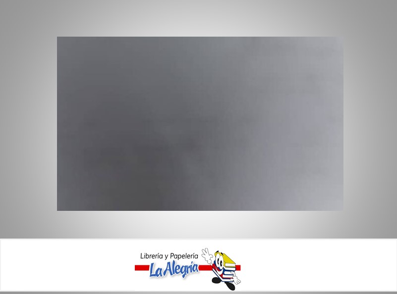 CARTULINA DOBLE FAZ BLANCO 66X96 P/UNI MARCA S/M   