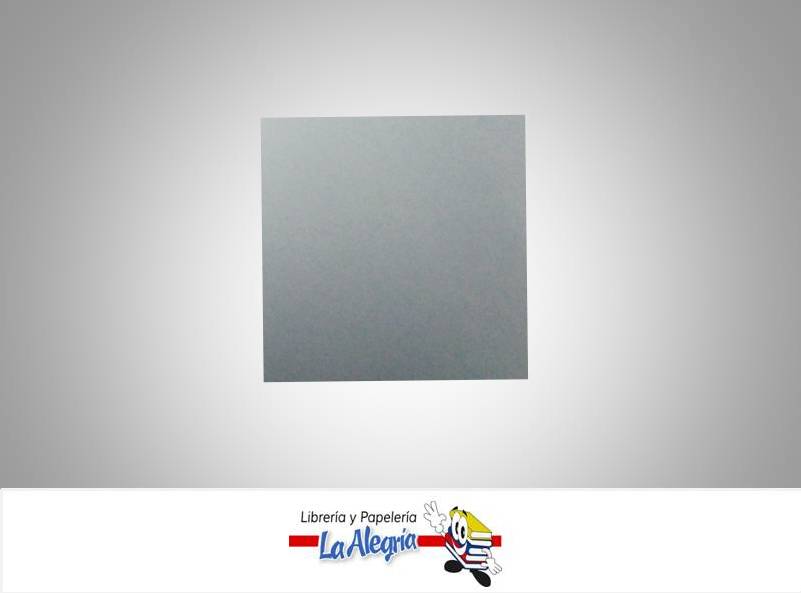 CARTULINA DOBLE FAZ 66X48 CM PLATA UND 273GR MARCA S/M   