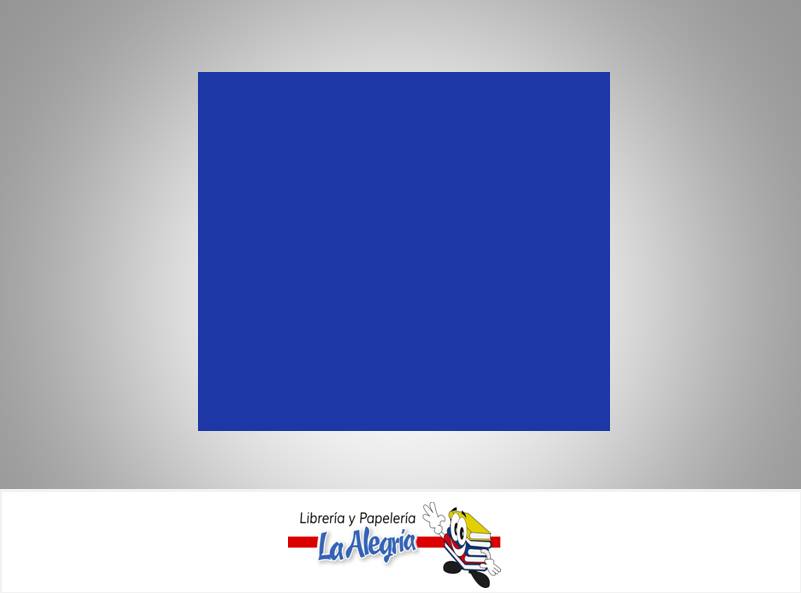 CARTULINA DOBLE FAZ 66X48CM AZUL INTENSO 273GR MARCA S/M   