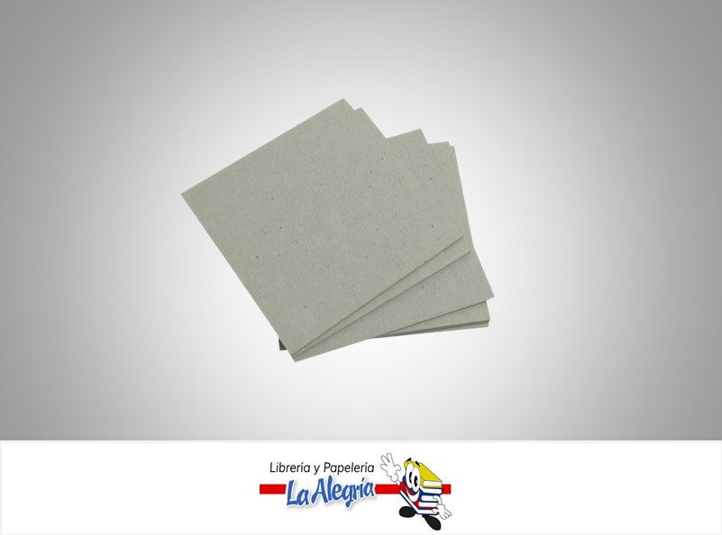 CARTON GRIS 1 EN KG 900GR 70X100CM GRIS UND MARCA S/M