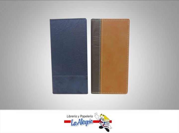 AGENDA BIDIARIA PERMANENTE 21X15CM MARCA EDICIONES DIR