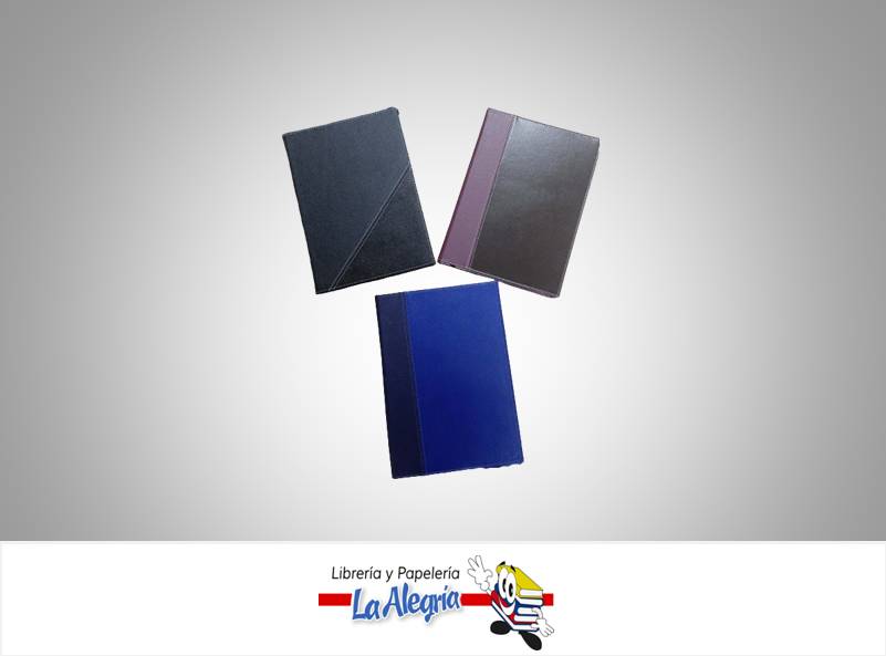 AGENDA PROGRAMADOR EJECUTIVO 24X17CM MARCA EDICIONES DIR   