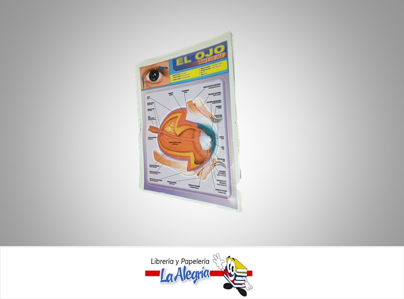 AFICHE GRANDE EL OJO EN INGLES MARCA S/M