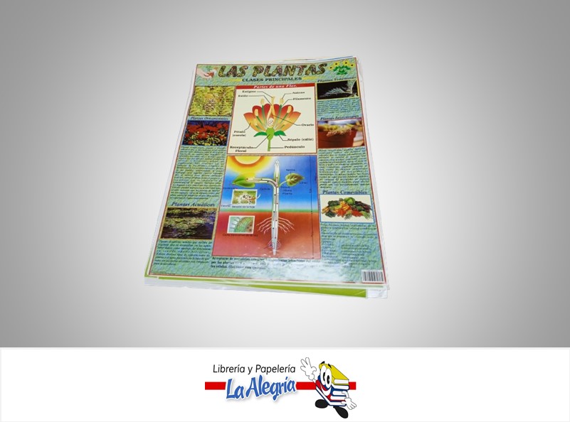 AFICHE GRANDE LAS PLANTAS MARCA S/M