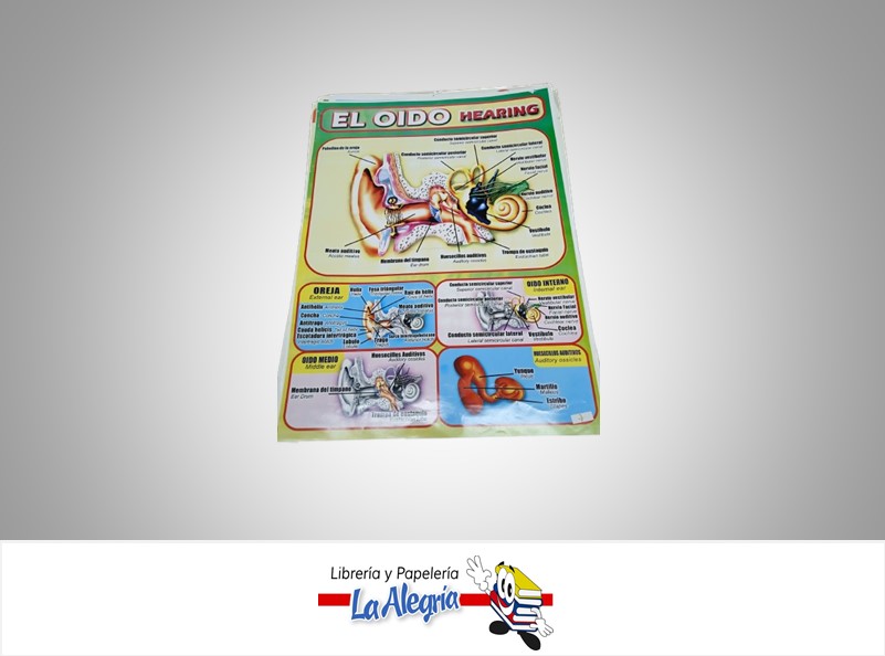 AFICHE GRANDE EL OIDO MARCA S/M