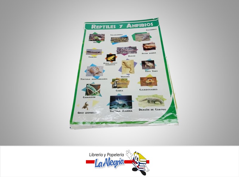 AFICHE GRANDE REPTILES Y ANFIBIOS MARCA S/M