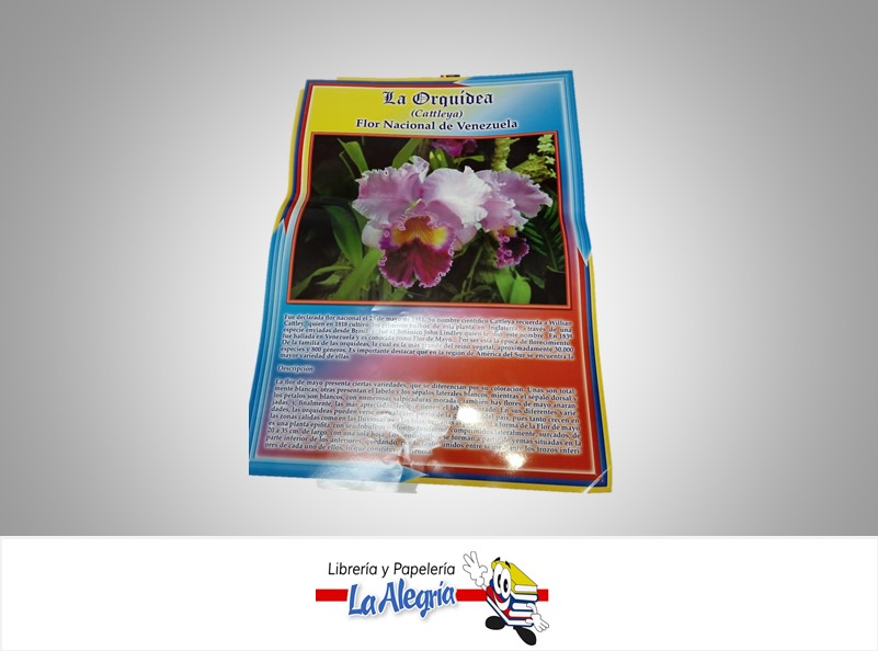 AFICHE GRANDE LA ORQUIDEA FLOR NACIONAL DE VENEZUELA MARCA S/M