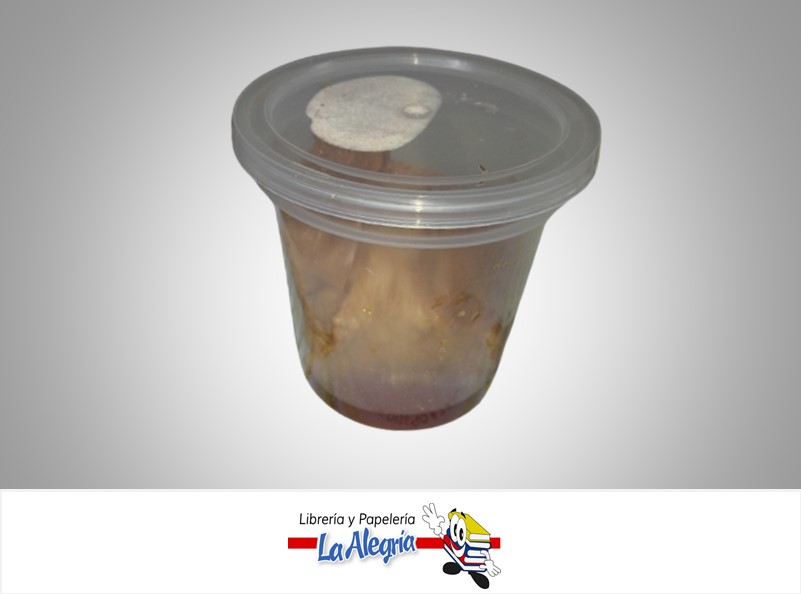 QUESILLO VASO PEQUEÑO MARCA S/M