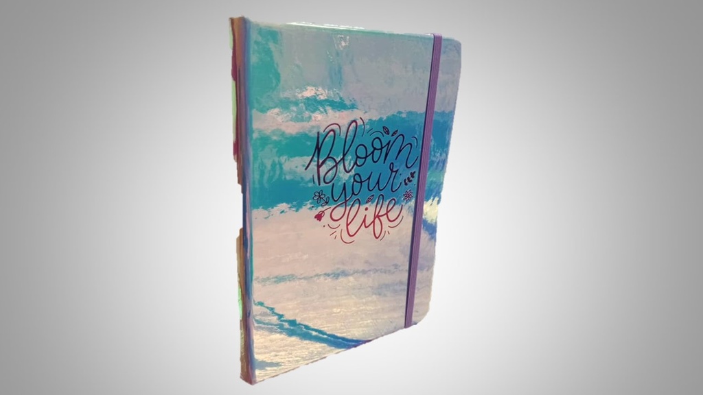 LIBRETA NOTA EMPASTADO CHICAS NB23128 21X13,5CM METALIZADO MARCA POINTER