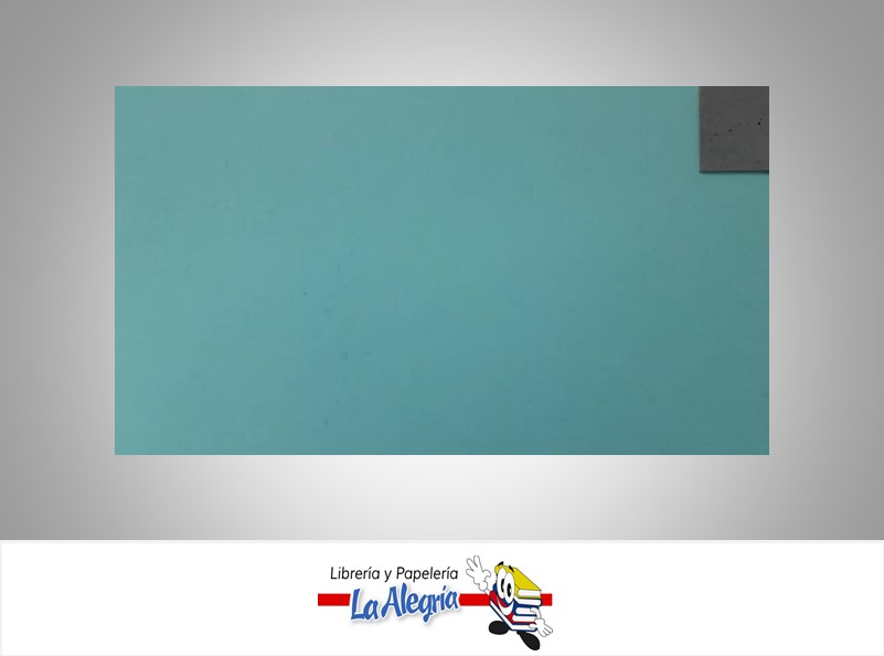 CARTULINA DOBLE FAZ DOBLE CARA 50X70CM AZUL CIELO -GRIS UND 239GR MARCA S/M