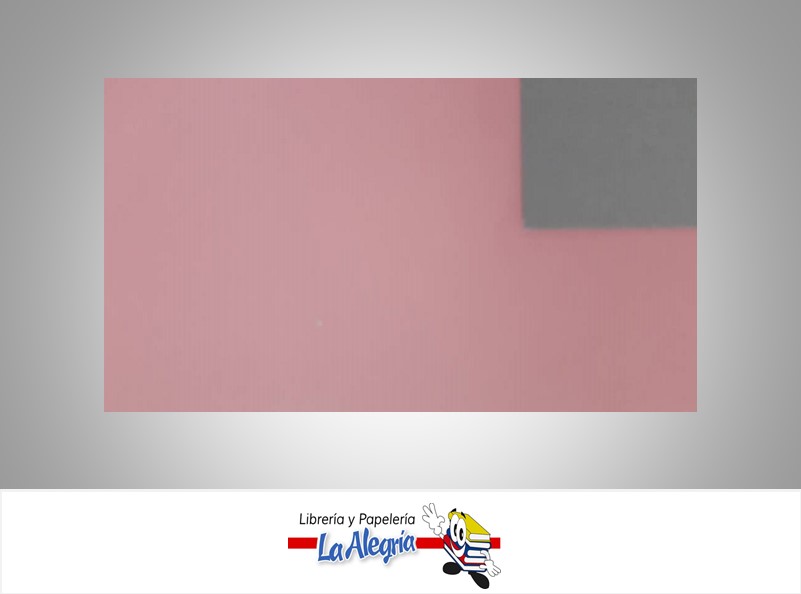 CARTULINA DOBLE FAZ DOBLE CARA 50X70CM ROSADO-GRIS UND 239GR MARCA S/M