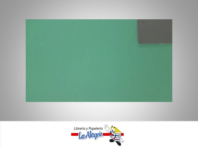 CARTULINA DOBLE FAZ DOBLE CARA 50X70CM VERDE ESMERALDA-GRIS UND 239GR MARCA S/M