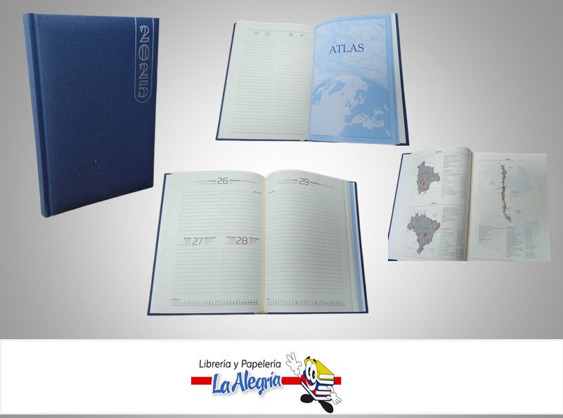 AGENDA 2025 DIARIA APRICA AZUL D22 MARCA ARTESCO