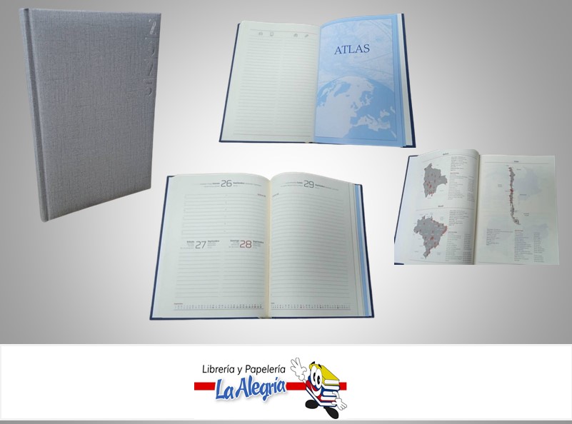 AGENDA 2025 DIARIA APRICA PLATA D28 MARCA ARTESCO